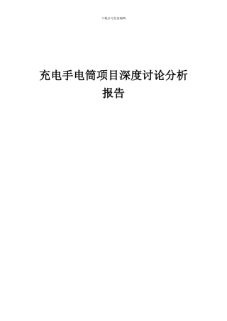 2024年充电手电筒项目深度研究分析报告