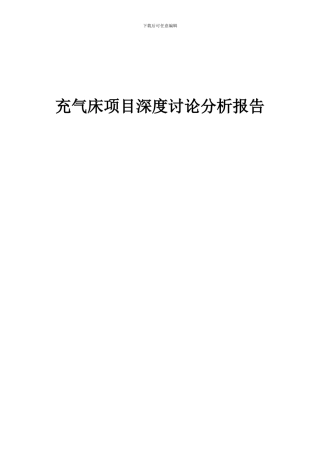 2024年充气床项目深度研究分析报告