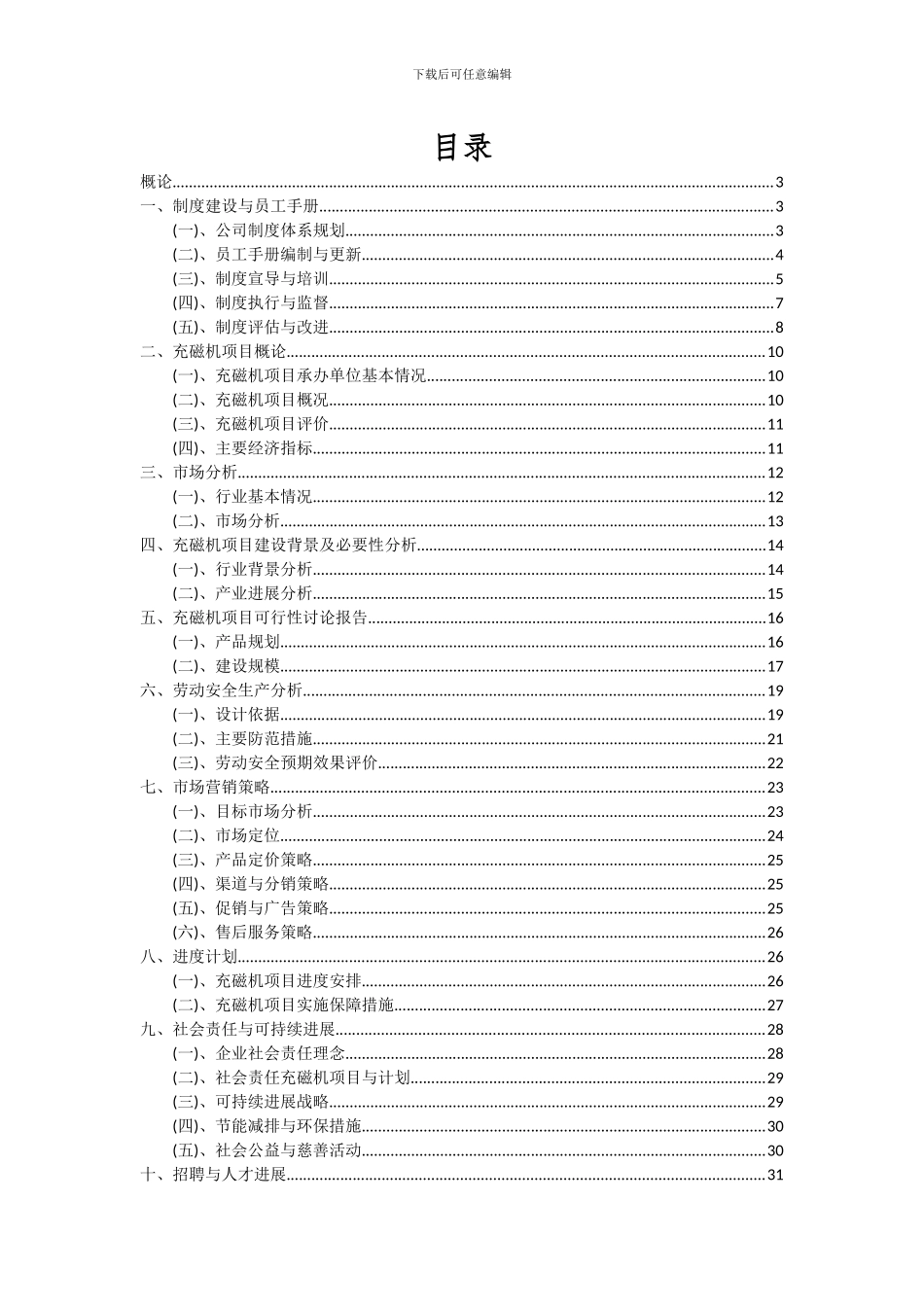 2024年充磁机项目可行性分析报告_第2页