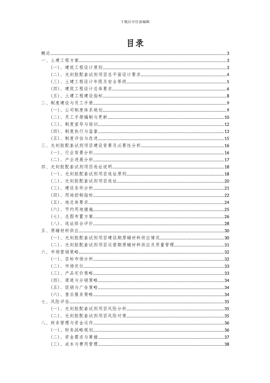 2024年光刻胶配套试剂项目深度研究分析报告_第2页