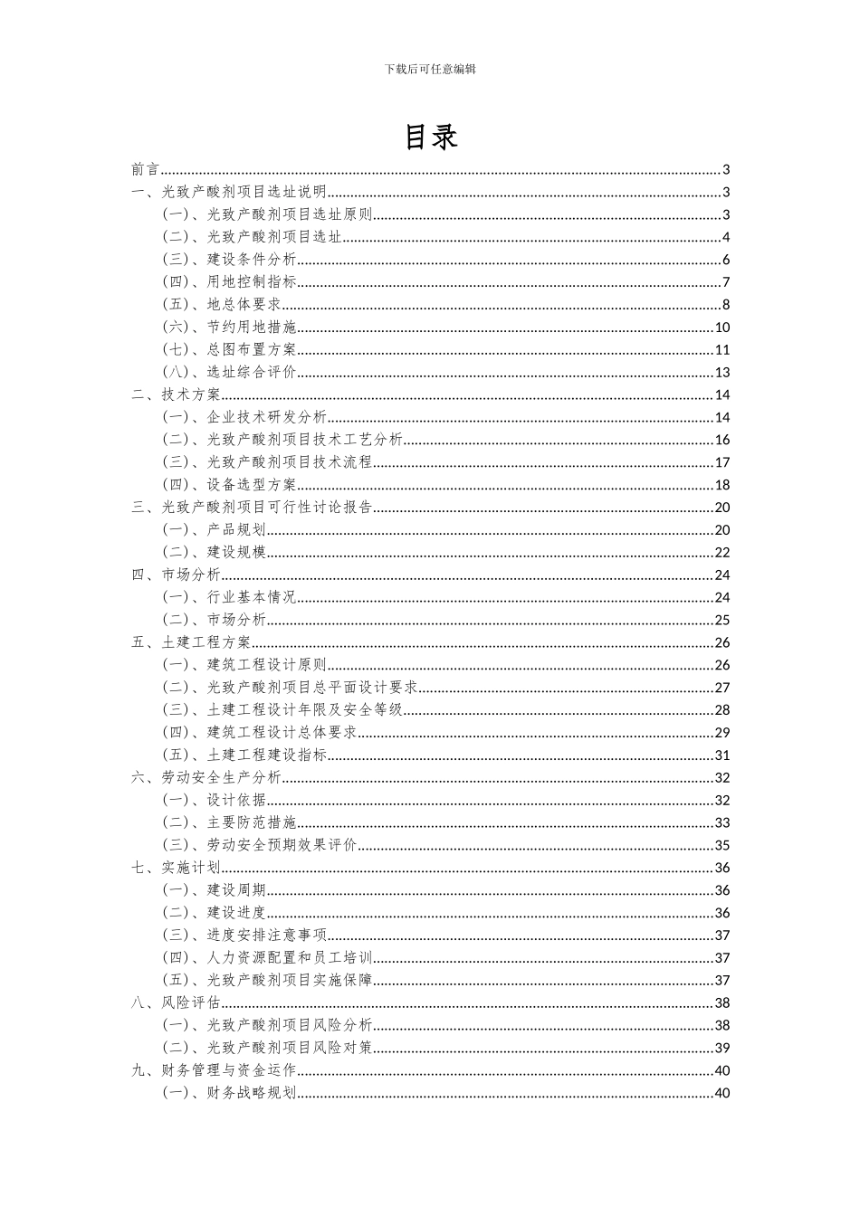 2024年光致产酸剂项目可行性分析报告_第2页
