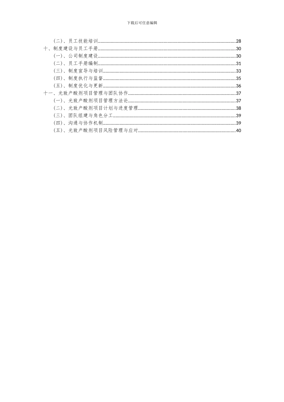 2024年光致产酸剂项目可行性研究报告_第3页