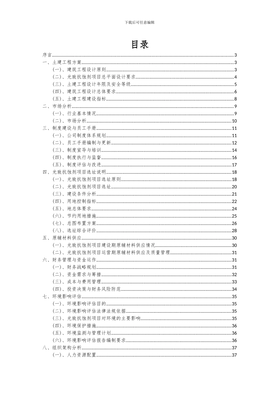 2024年光致抗蚀剂项目可行性分析报告_第2页