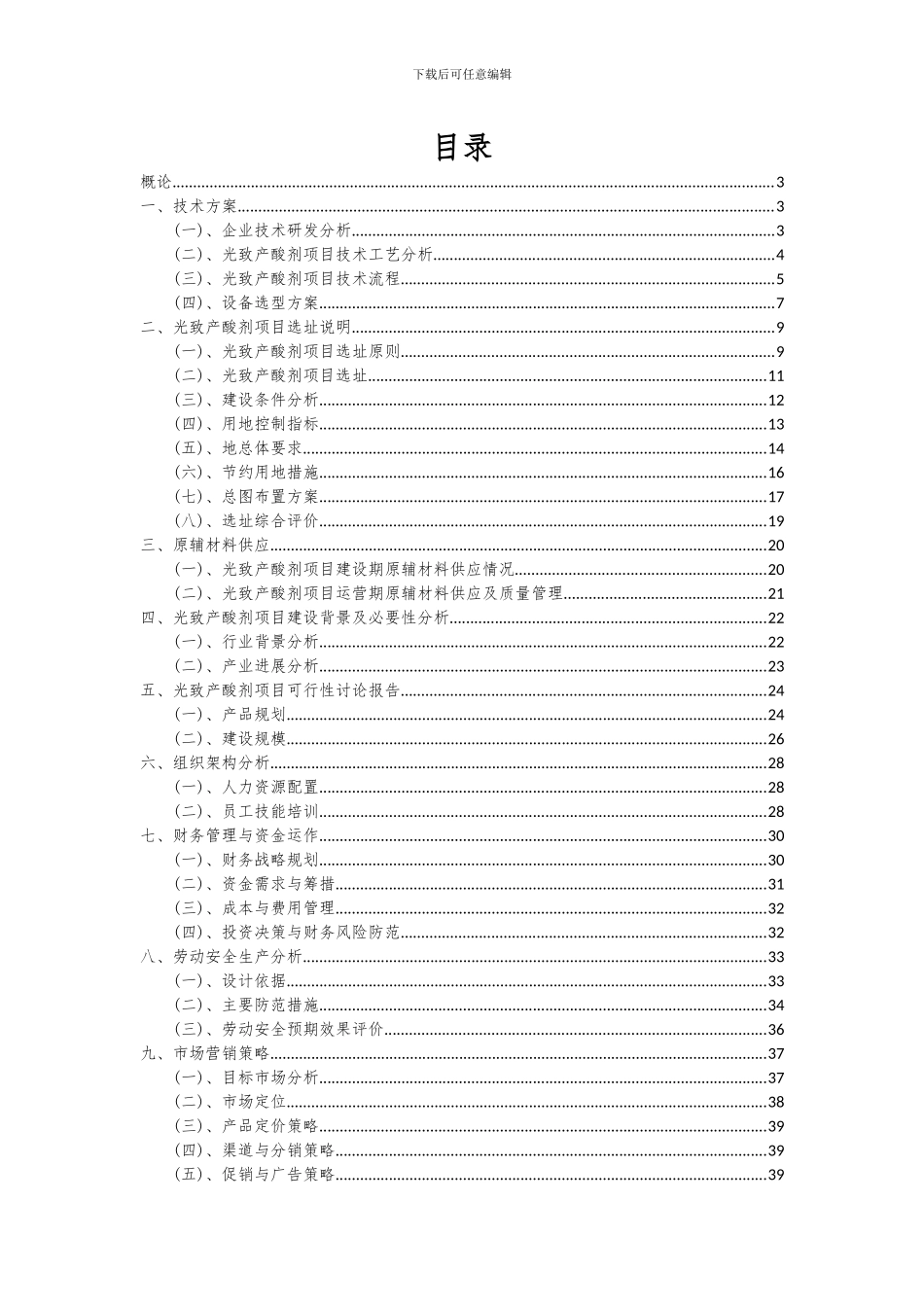 2024年光致产酸剂项目深度研究分析报告_第2页