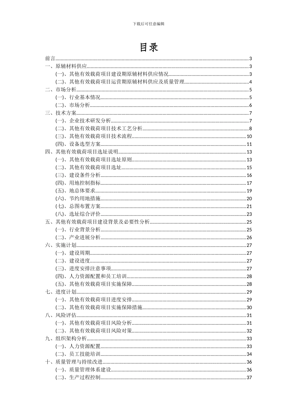 2024年其他有效载荷项目可行性分析报告_第2页