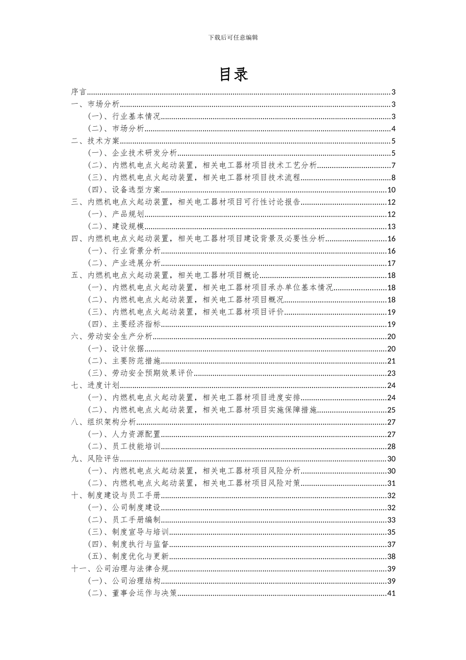 2024年内燃机电点火起动装置-相关电工器材项目深度研究分析报告_第2页