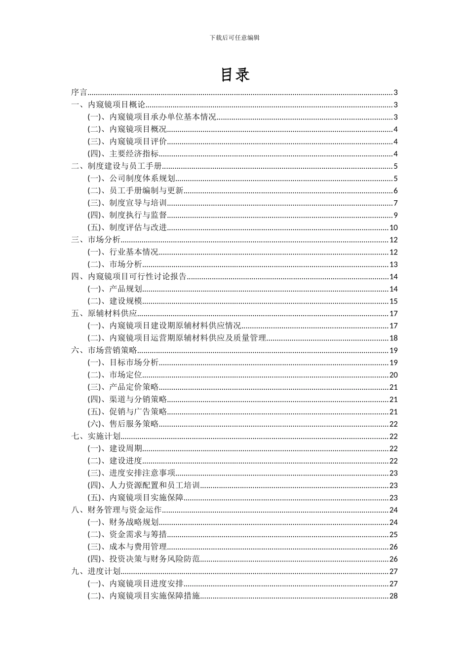 2024年内窥镜项目可行性研究报告_第2页