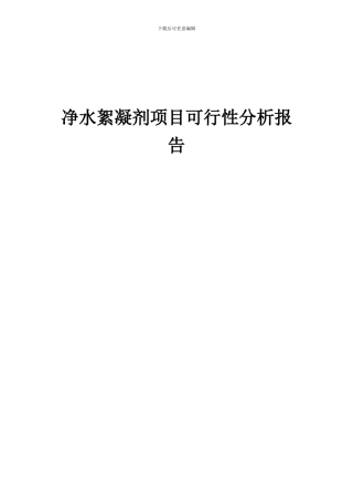 2024年净水絮凝剂项目可行性分析报告
