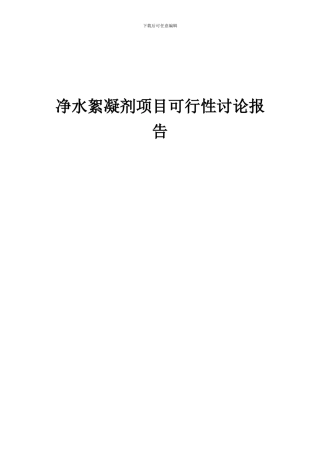 2024年净水絮凝剂项目可行性研究报告