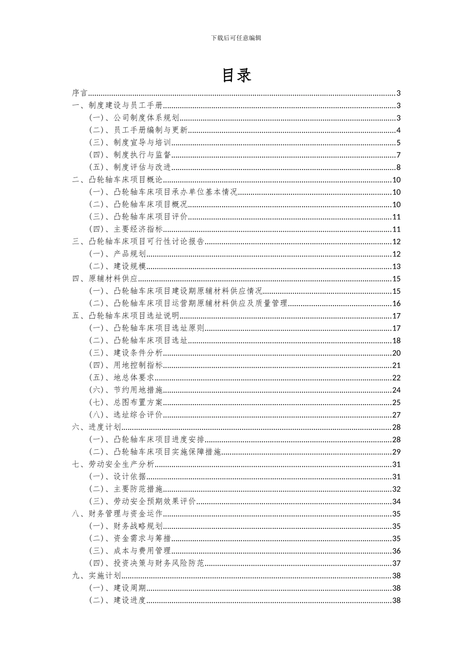 2024年凸轮轴车床项目可行性分析报告_第2页
