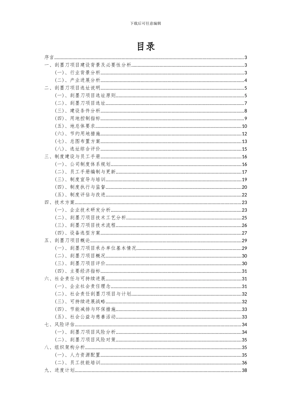 2024年刮墨刀项目投资分析及可行性报告_第2页