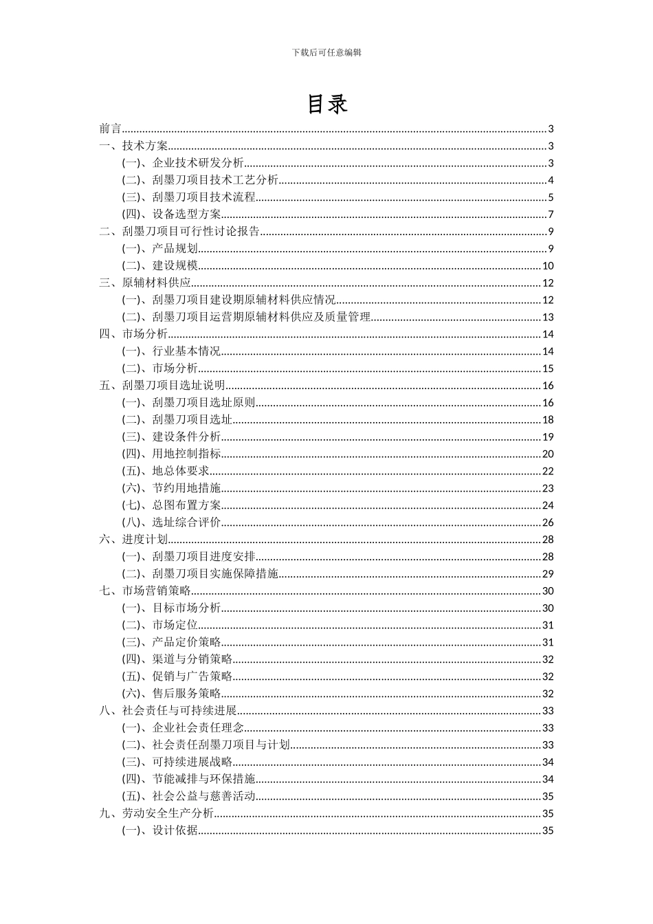 2024年刮墨刀项目深度研究分析报告_第2页
