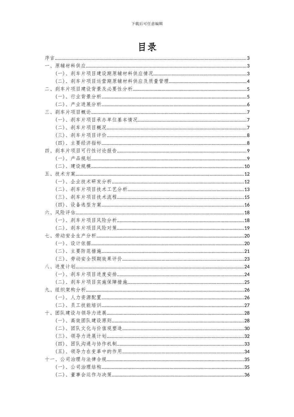 2024年刹车片项目可行性研究报告_第2页