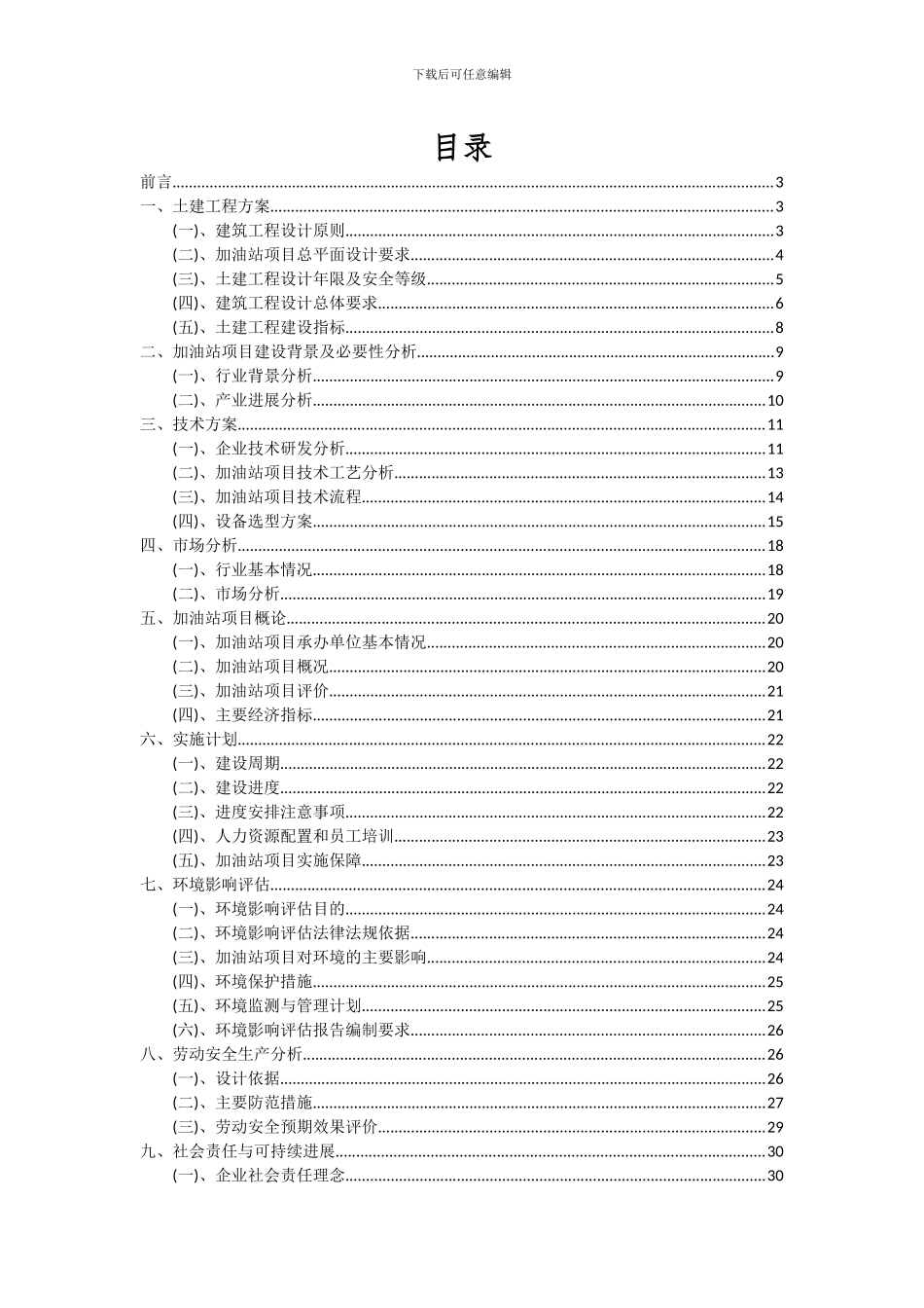 2024年加油站项目深度研究分析报告_第2页