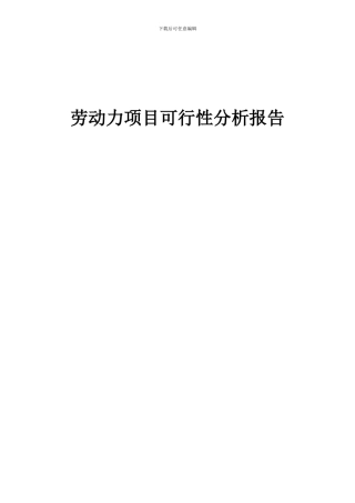 2024年劳动力项目可行性分析报告