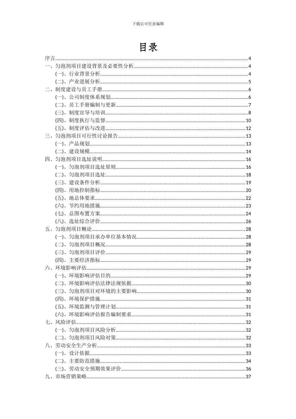 2024年匀泡剂项目可行性分析报告_第2页