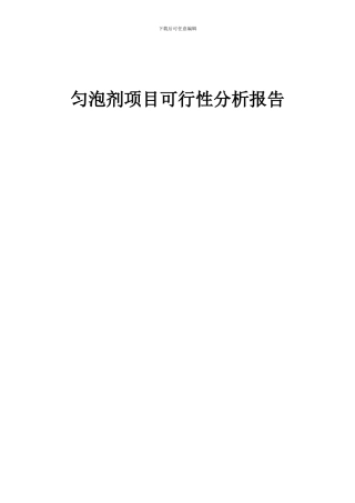 2024年匀泡剂项目可行性分析报告