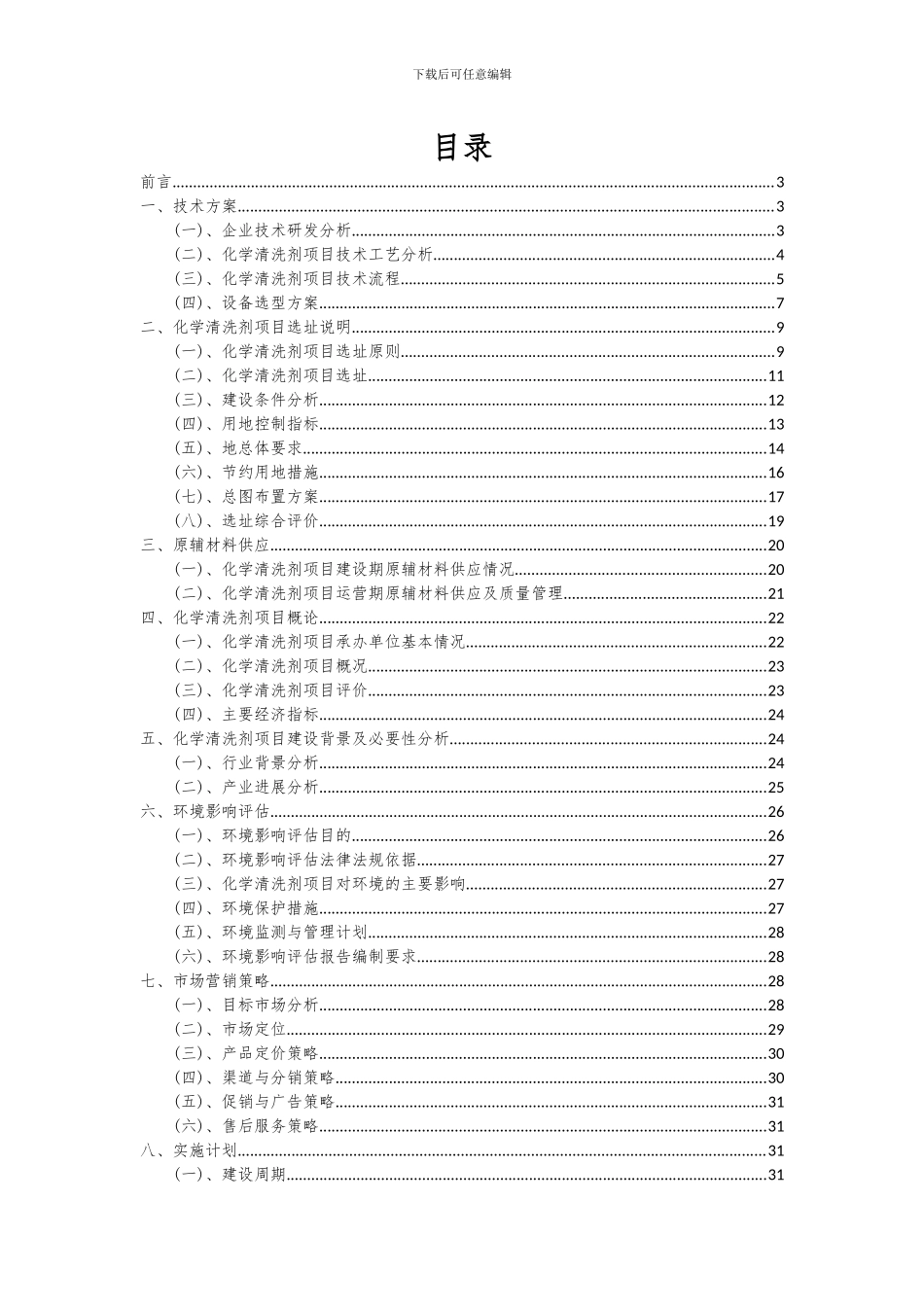 2024年化学清洗剂项目投资分析及可行性报告_第2页