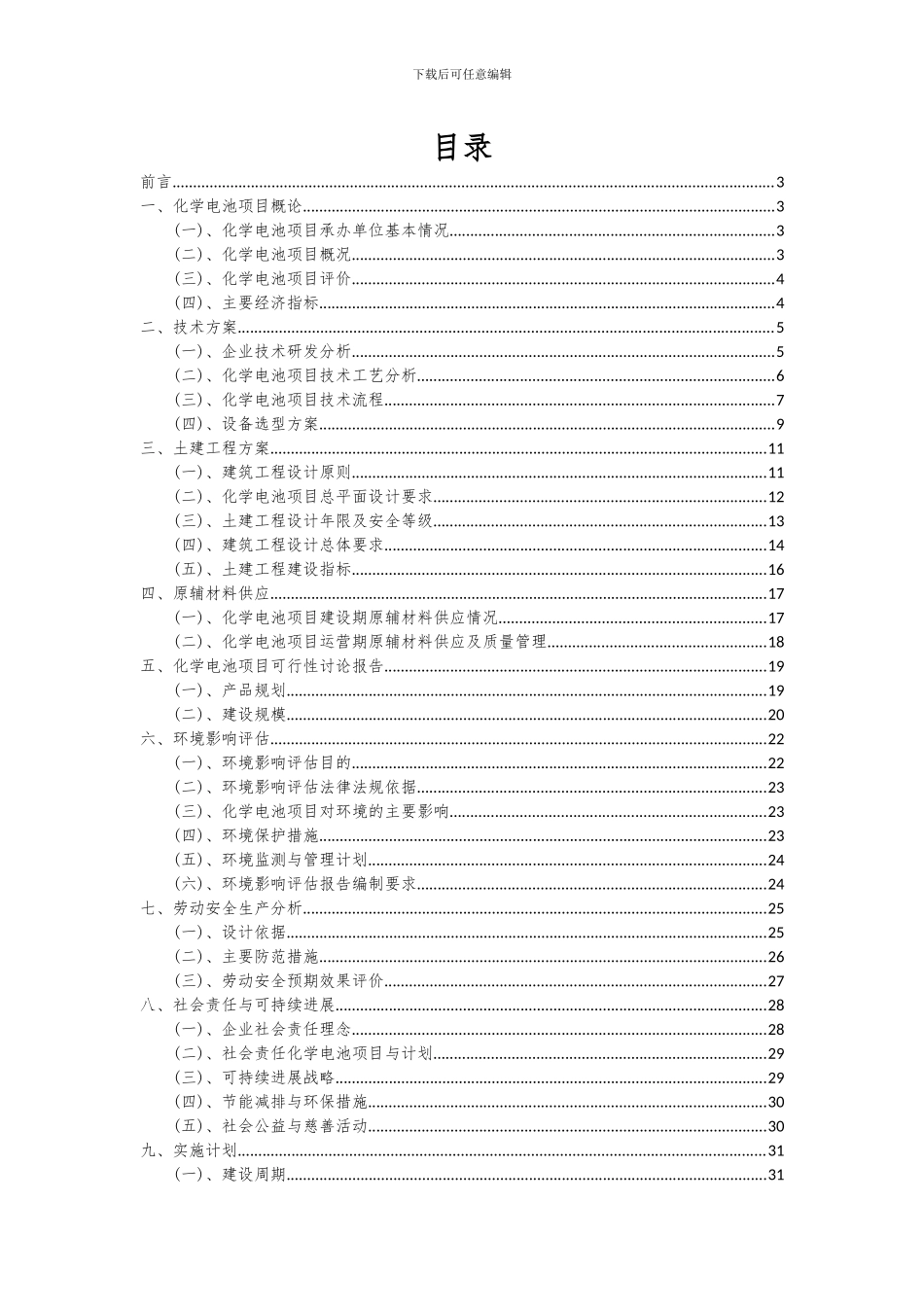 2024年化学电池项目深度研究分析报告_第2页
