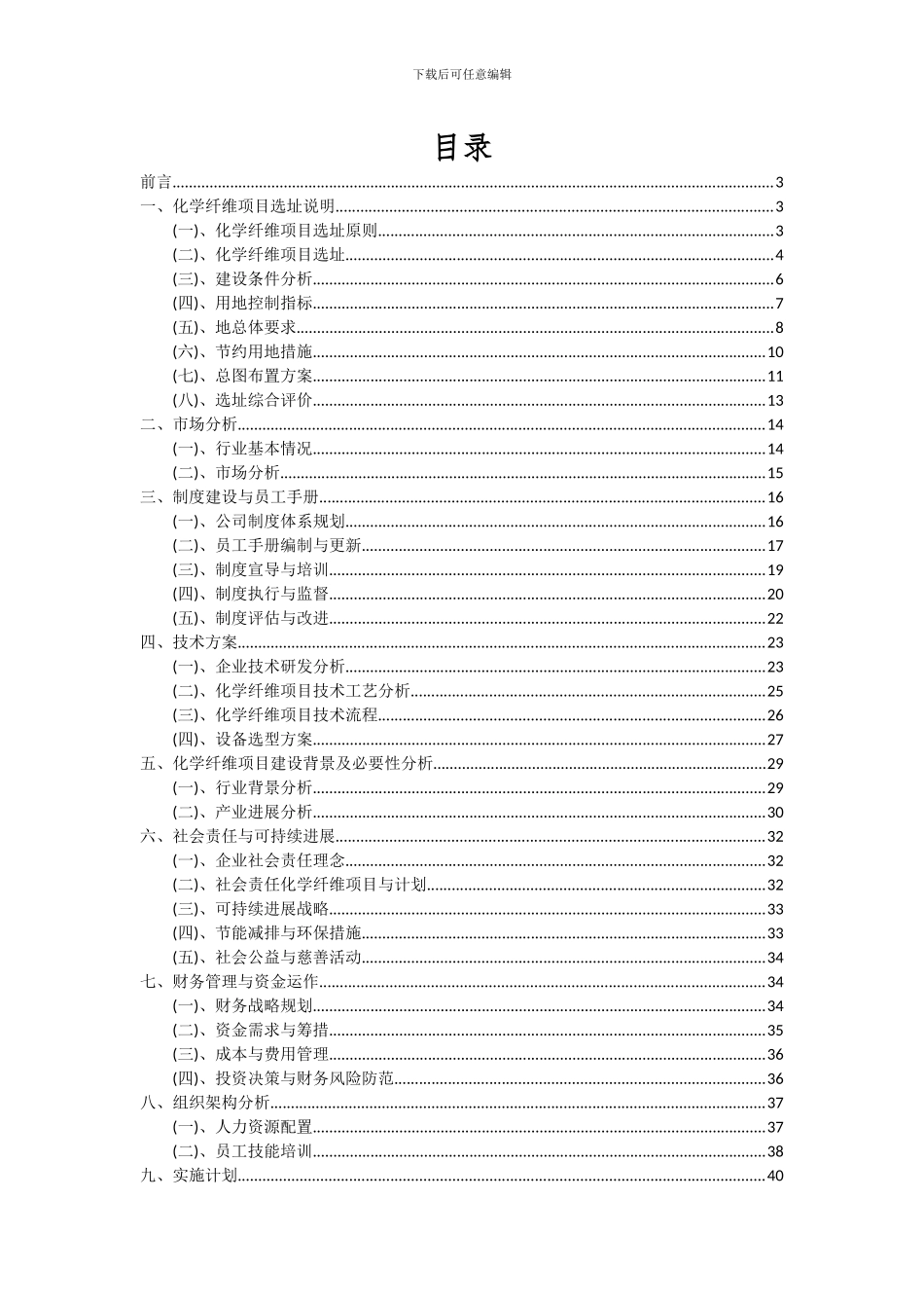 2024年化学纤维项目深度研究分析报告_第2页