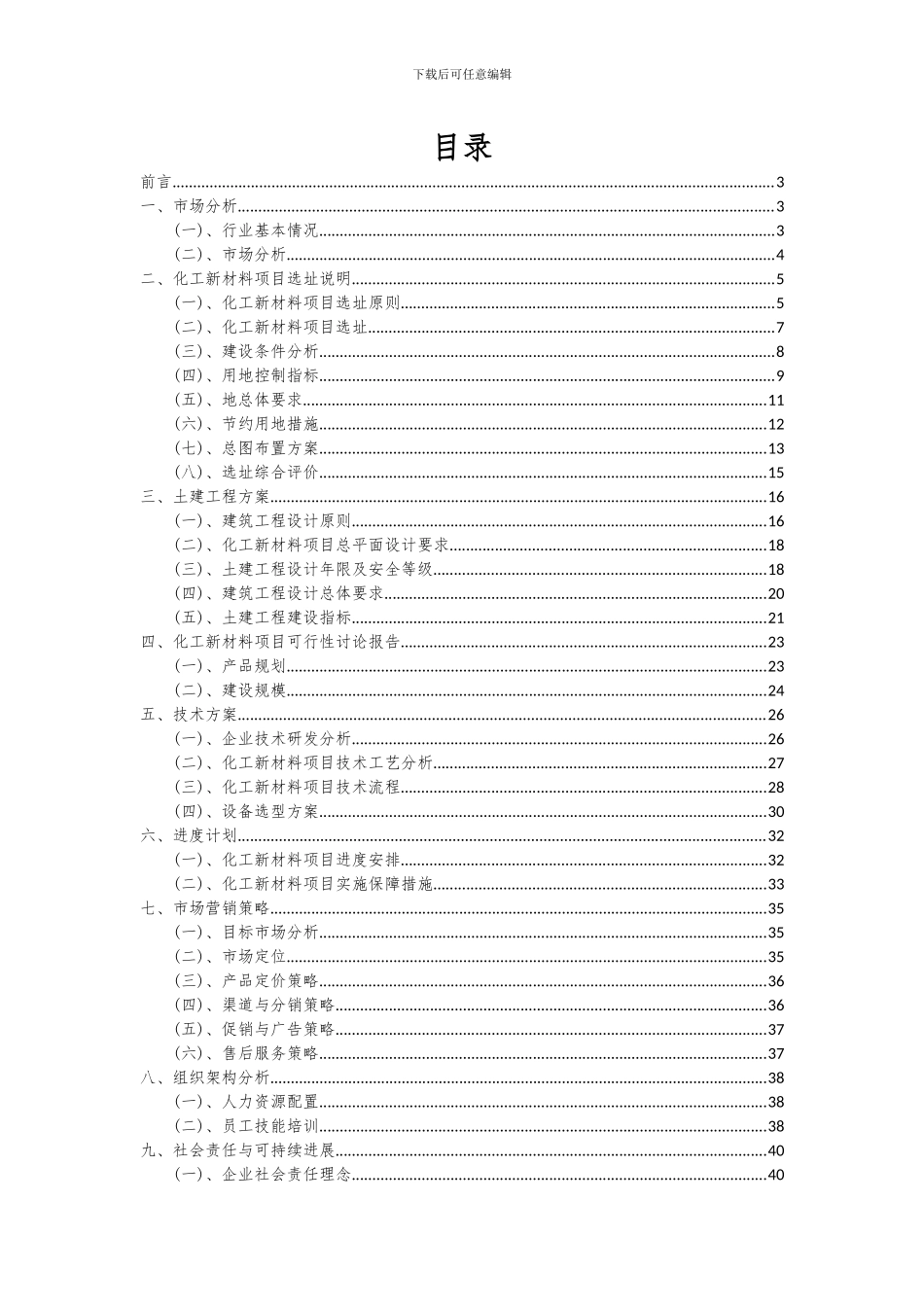 2024年化工新材料项目可行性研究报告_第2页