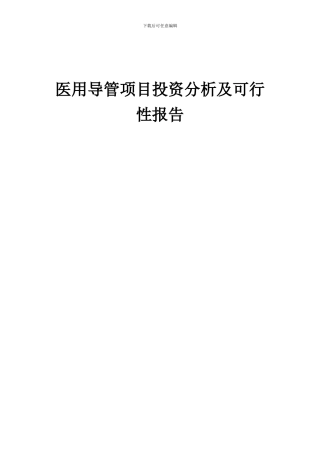 2024年医用导管项目投资分析及可行性报告
