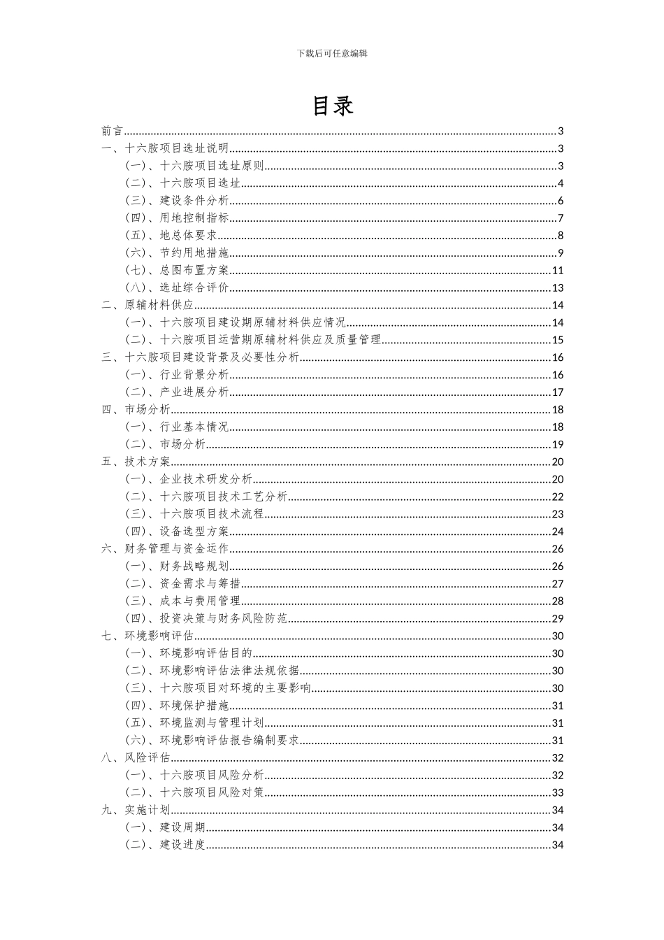 2024年十六胺项目可行性分析报告_第2页