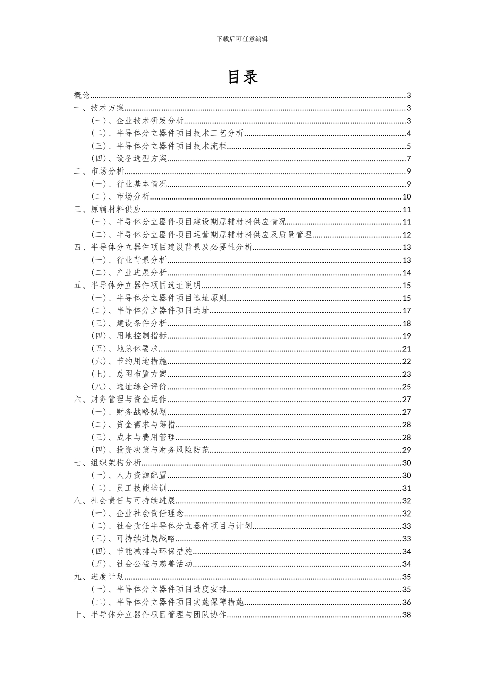 2024年半导体分立器件项目可行性研究报告_第2页