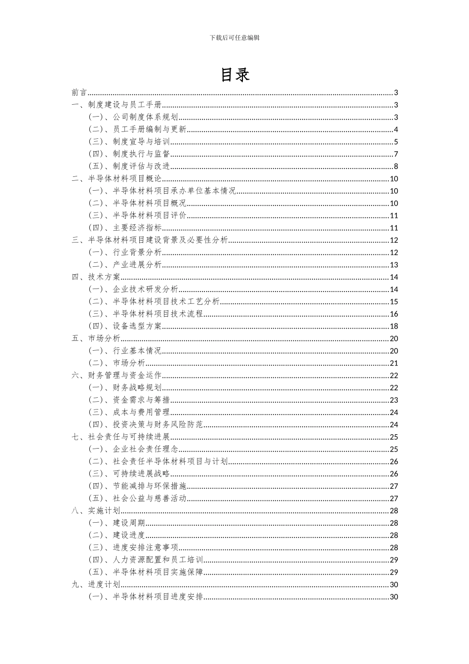 2024年半导体材料项目可行性研究报告_第2页