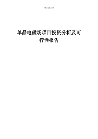 2024年单晶电磁场项目投资分析及可行性报告