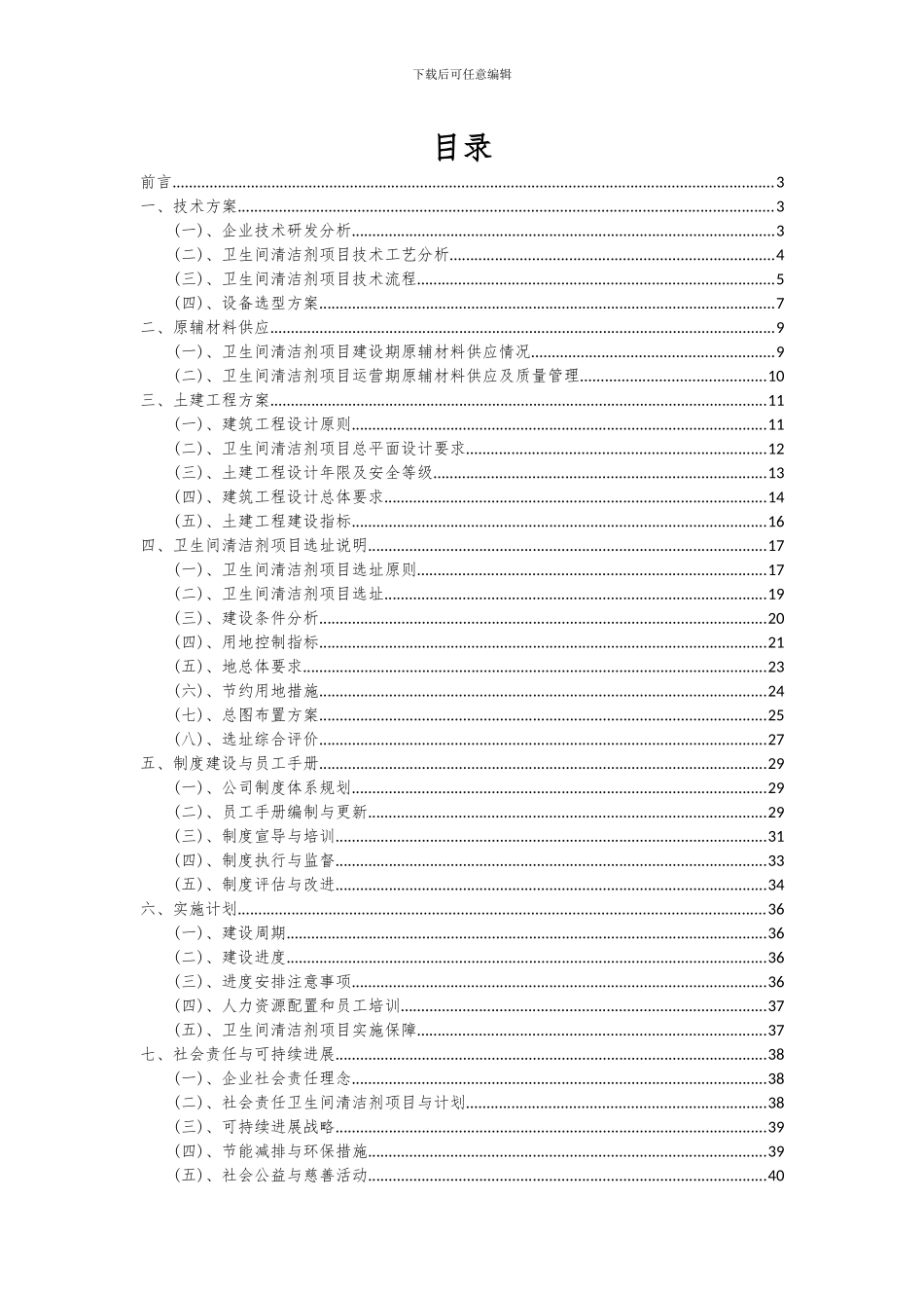 2024年卫生间清洁剂项目可行性分析报告_第2页