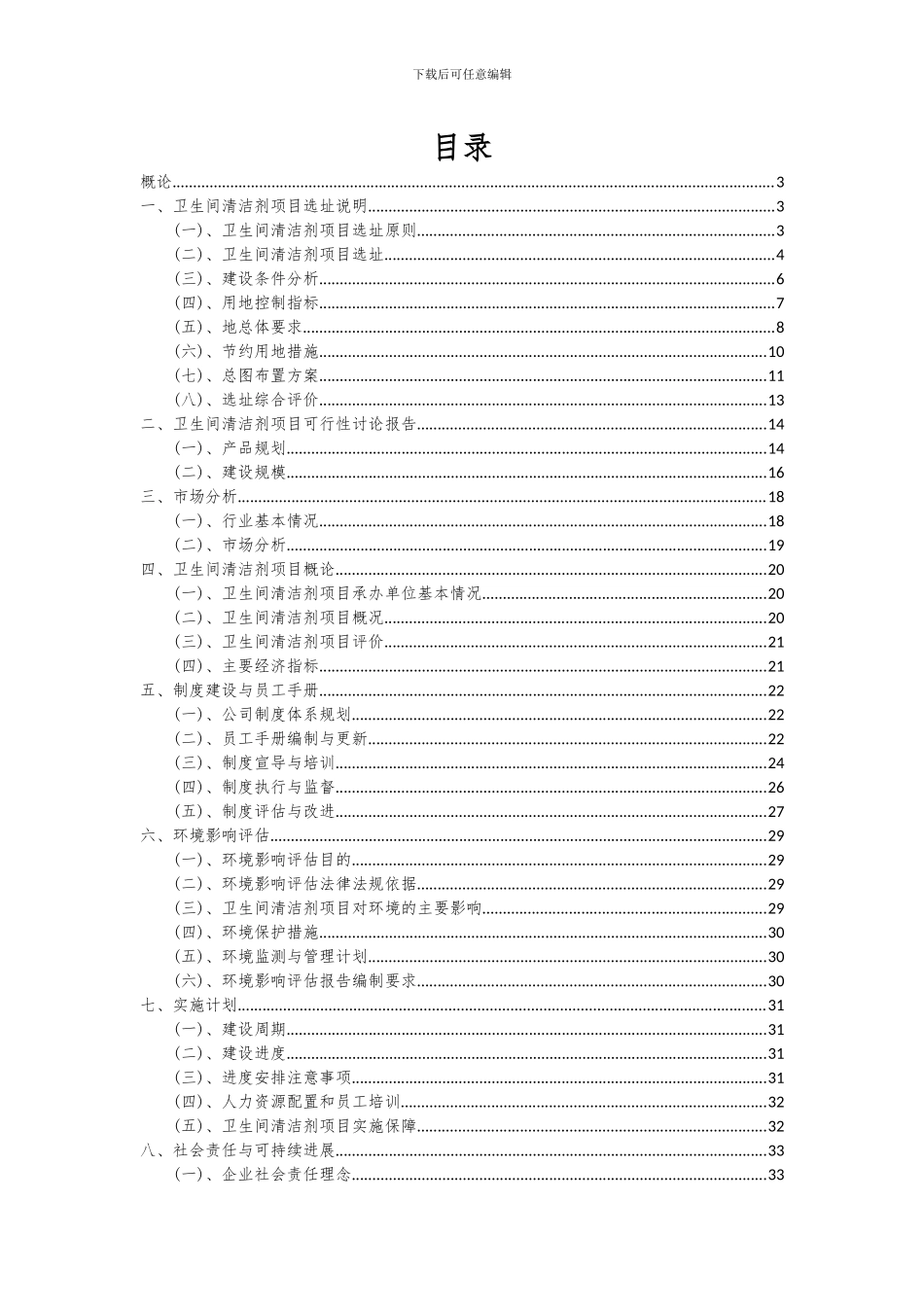 2024年卫生间清洁剂项目深度研究分析报告_第2页