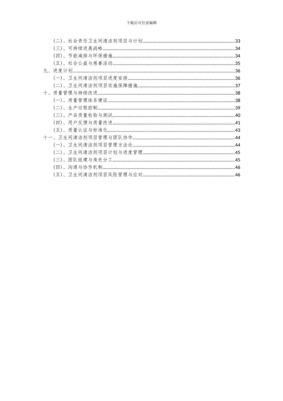 2024年卫生间清洁剂项目深度研究分析报告_第3页