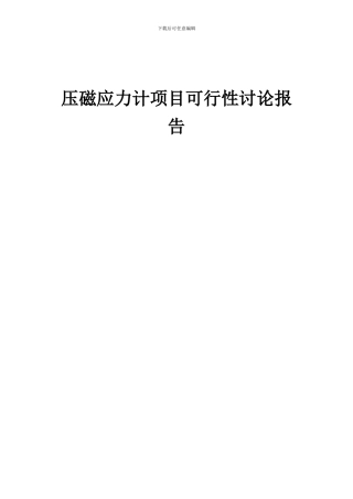2024年压磁应力计项目可行性研究报告