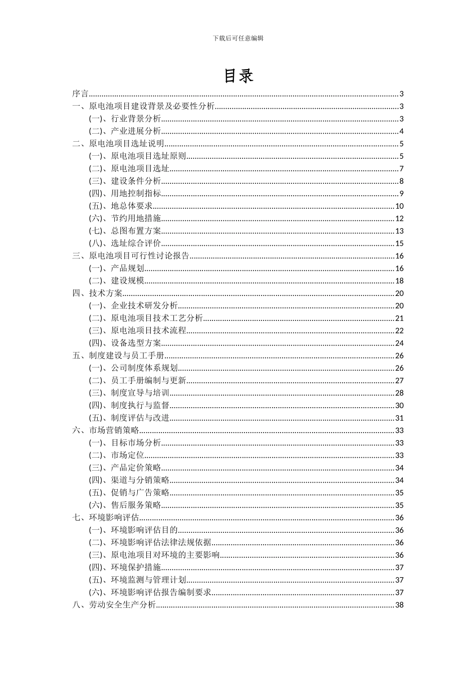 2024年原电池项目可行性分析报告_第2页