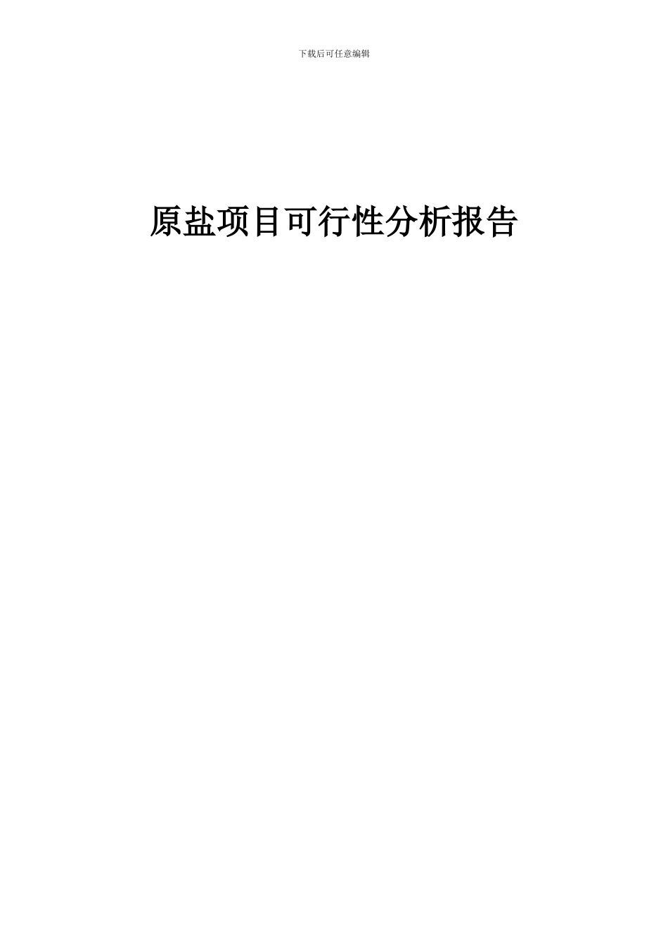 2024年原盐项目可行性分析报告_第1页