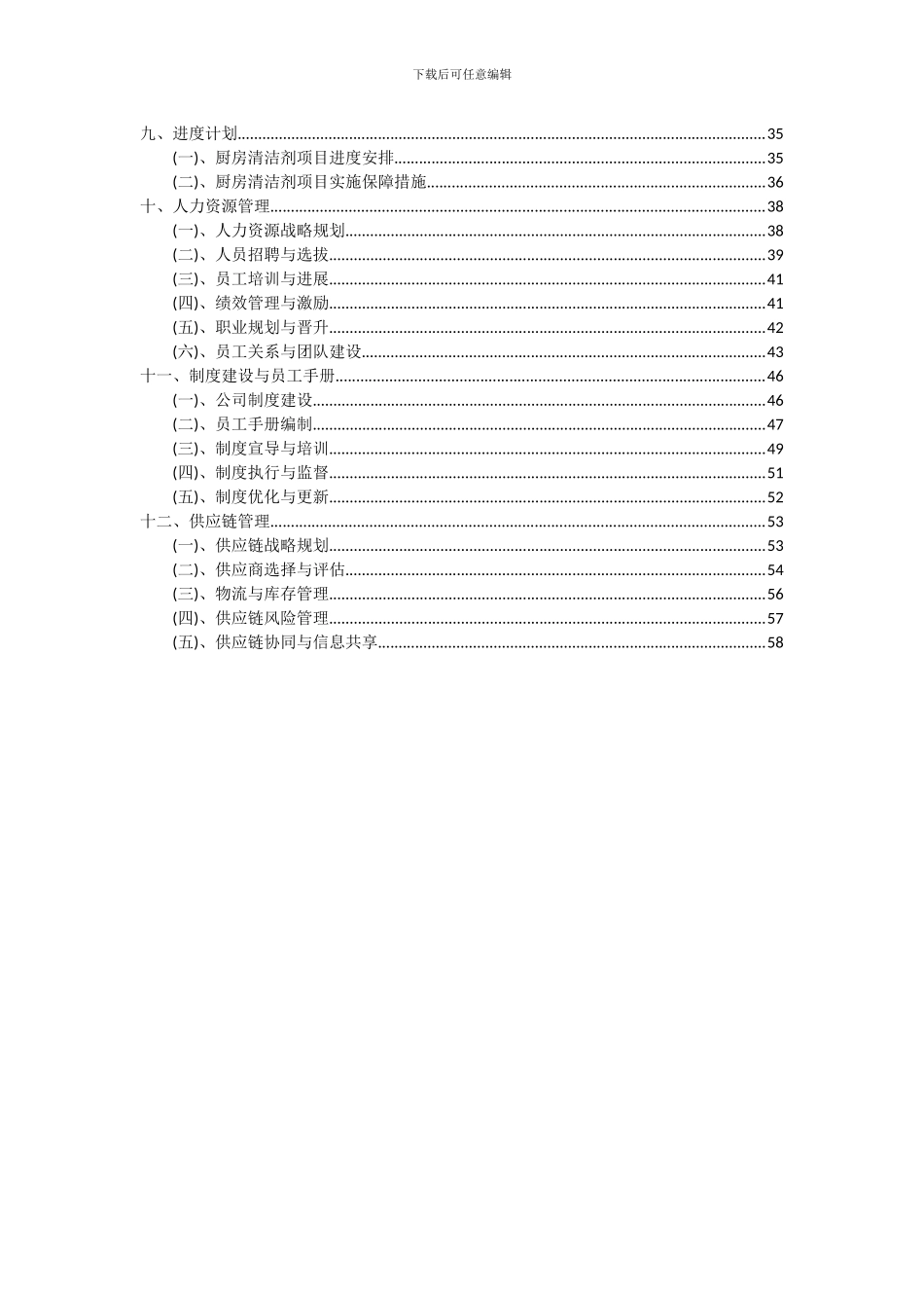 2024年厨房清洁剂项目深度研究分析报告_第3页