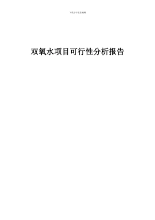 2024年双氧水项目可行性分析报告