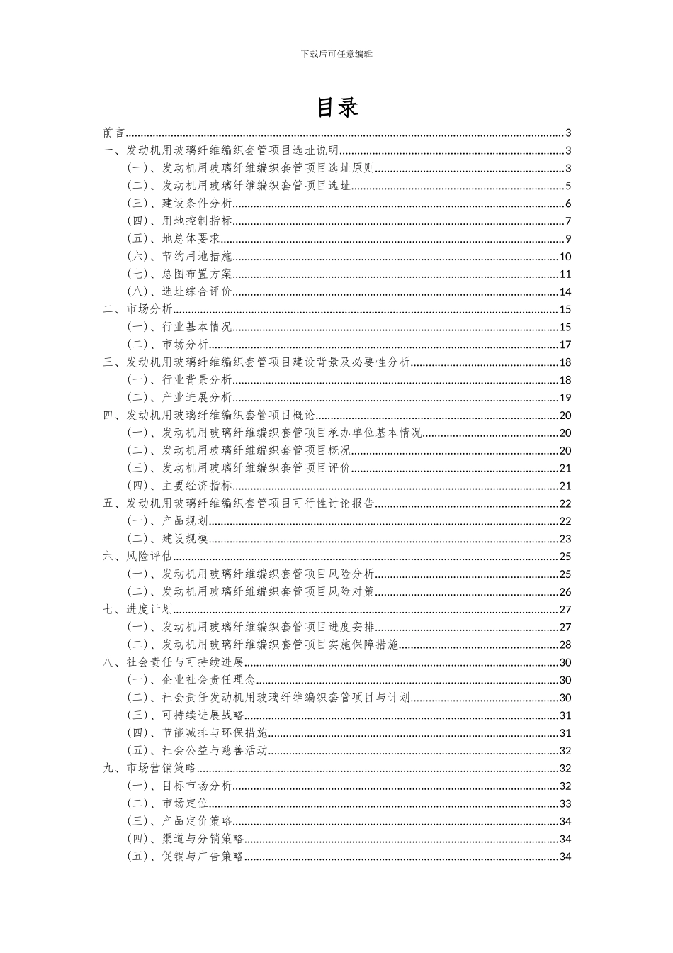 2024年发动机用玻璃纤维编织套管项目可行性研究报告_第2页