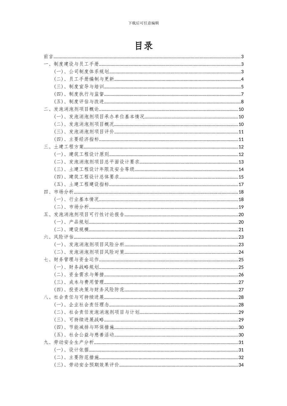 2024年发泡消泡剂项目可行性分析报告_第2页