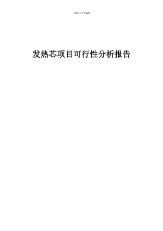 2024年发热芯项目可行性分析报告