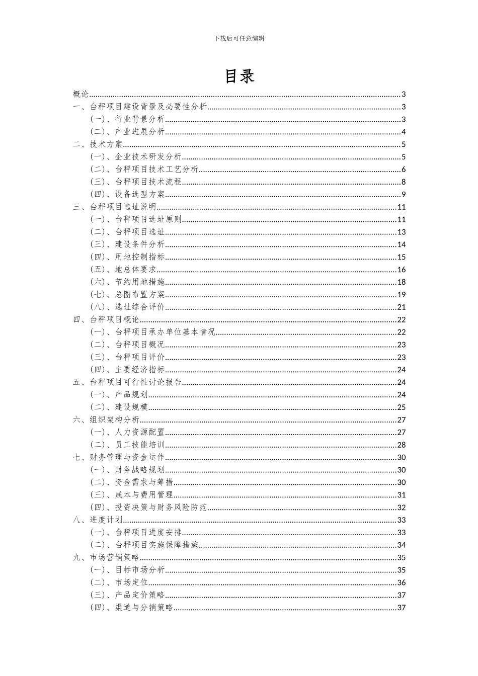 2024年台秤项目可行性研究报告_第2页