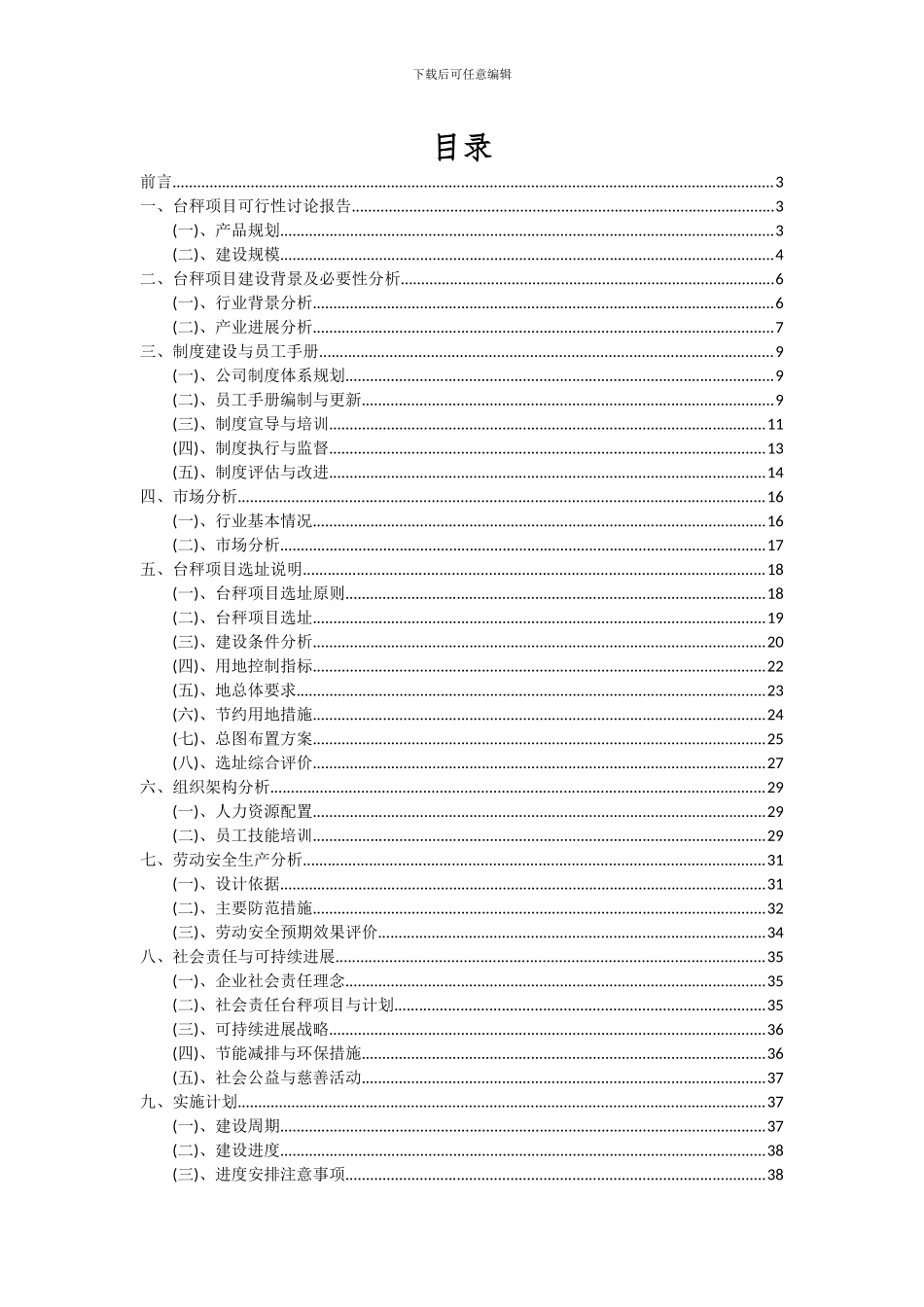 2024年台秤项目深度研究分析报告_第2页