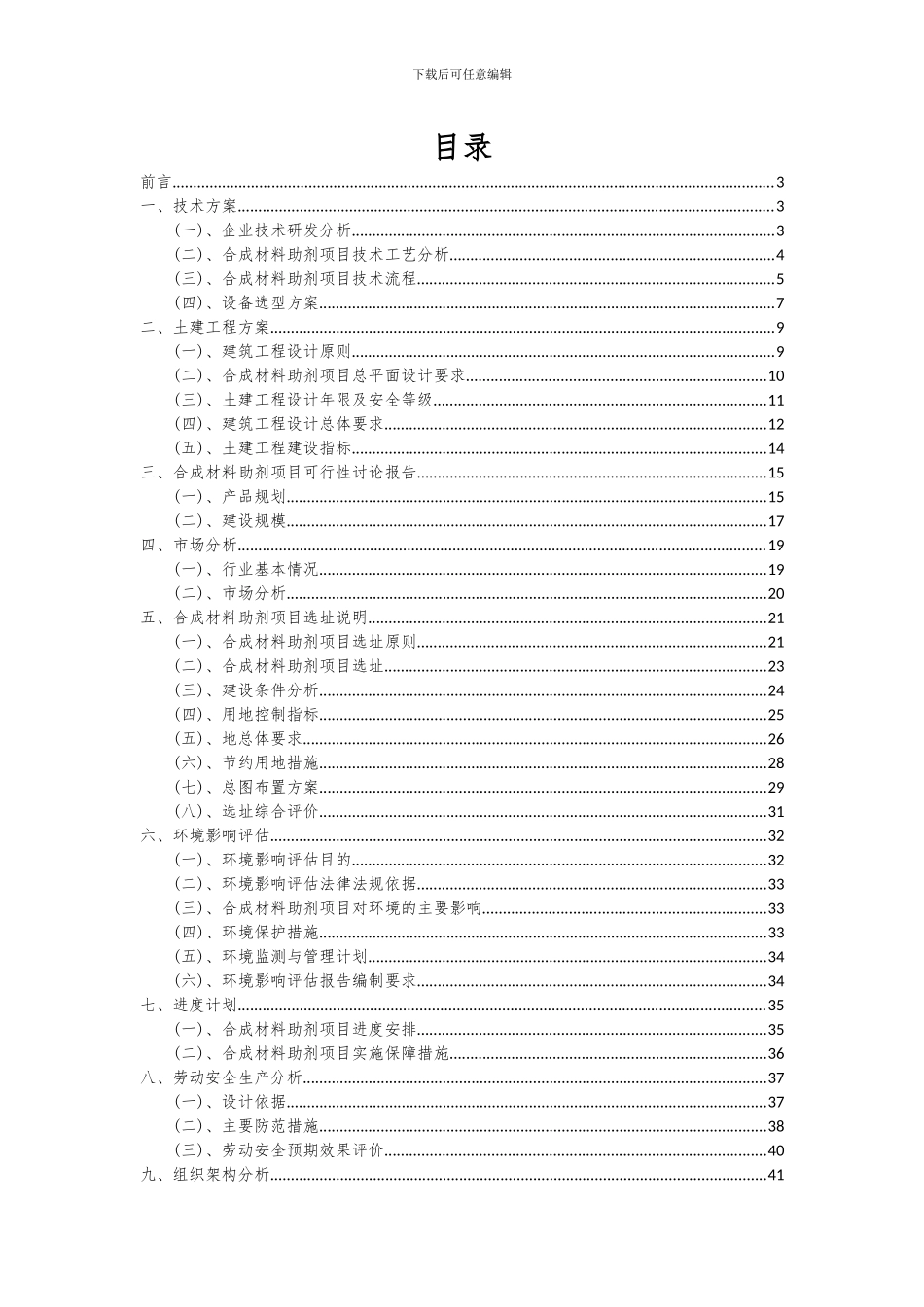2024年合成材料助剂项目可行性研究报告_第2页