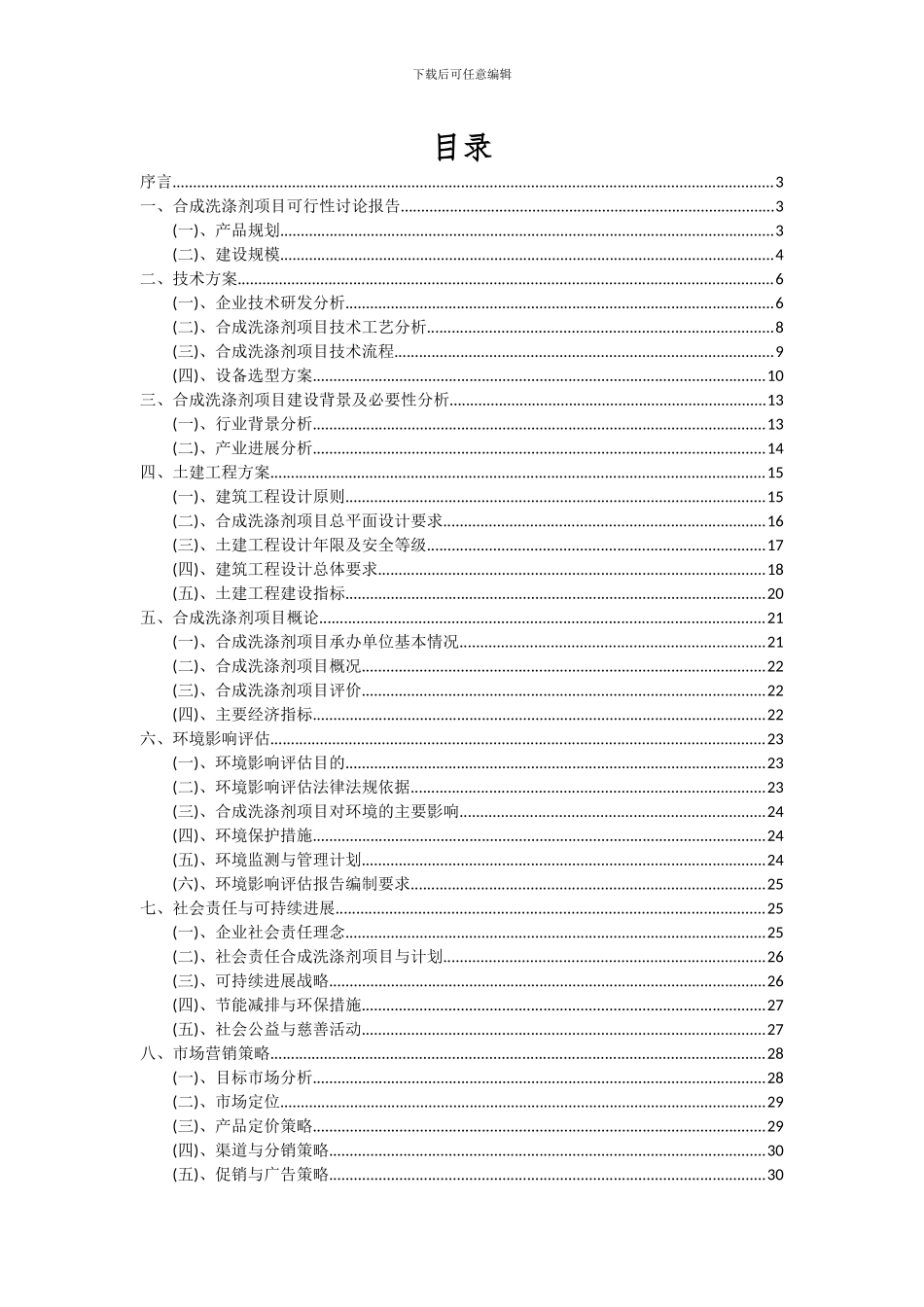 2024年合成洗涤剂项目投资分析及可行性报告_第2页
