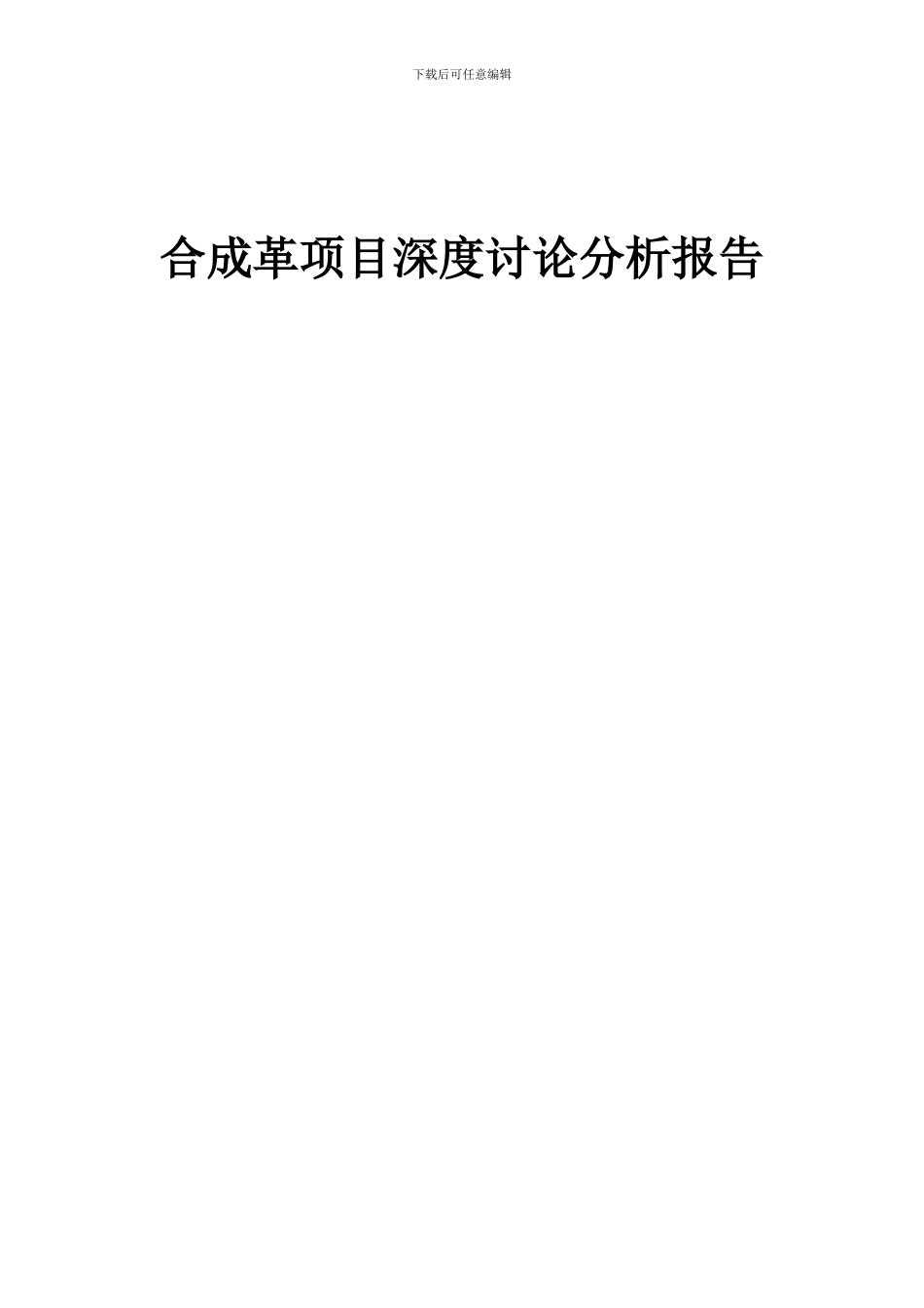 2024年合成革项目深度研究分析报告_第1页