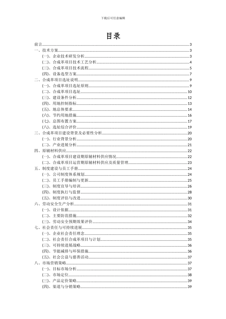 2024年合成革项目深度研究分析报告_第2页
