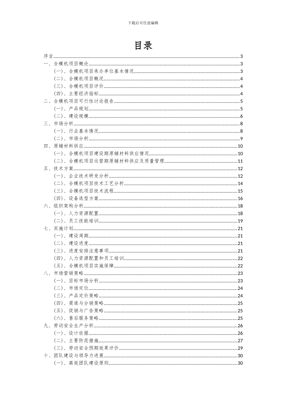 2024年合模机项目可行性分析报告_第2页