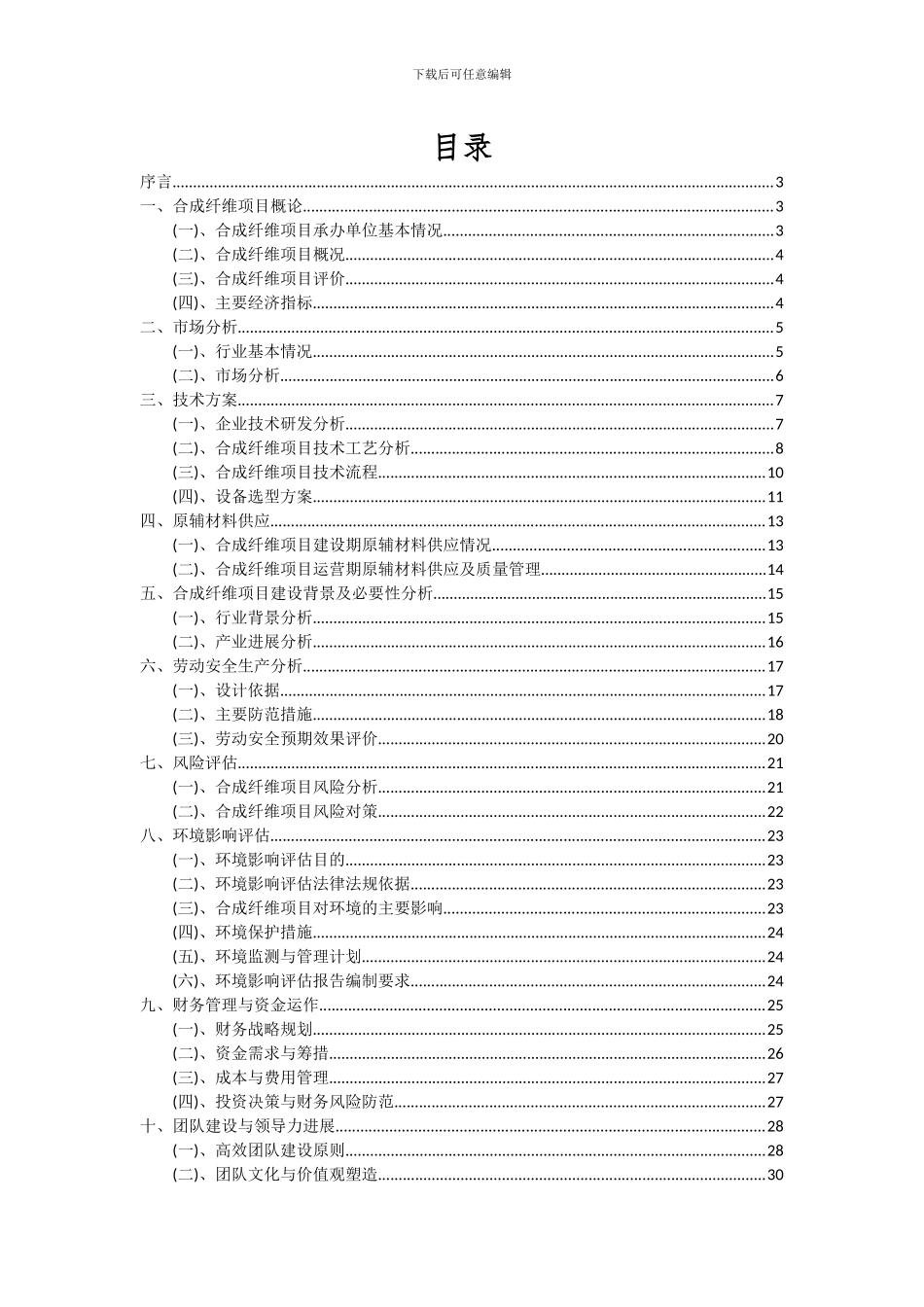 2024年合成纤维项目可行性分析报告_第2页