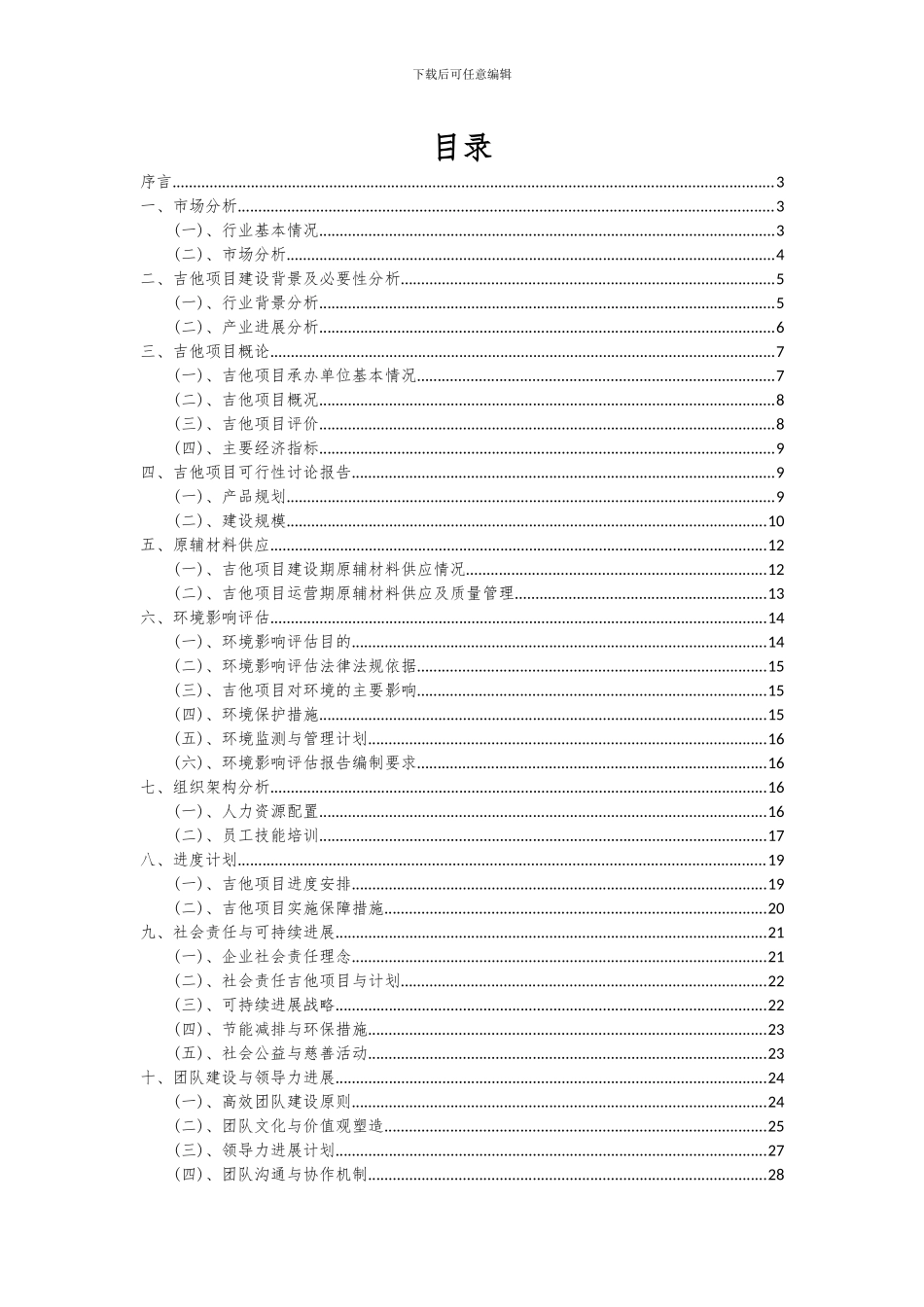2024年吉他项目可行性研究报告_第2页